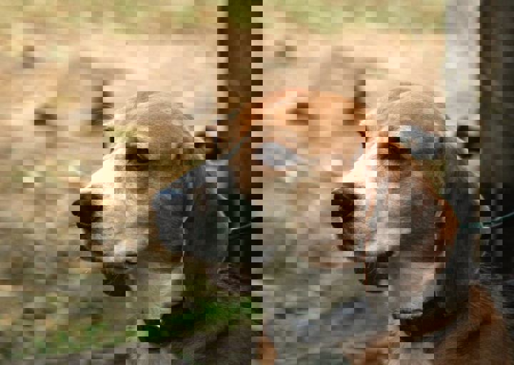 DSC_1806.JPG