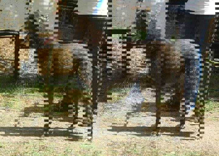 DSC_1812.JPG