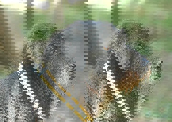 DSC_1817.JPG