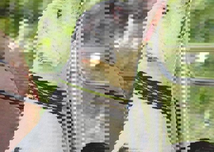 17_06110116.jpg