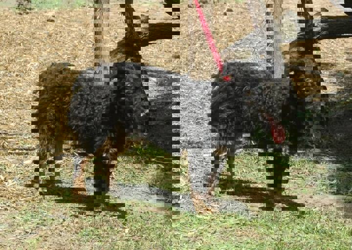 DSC_1824.JPG