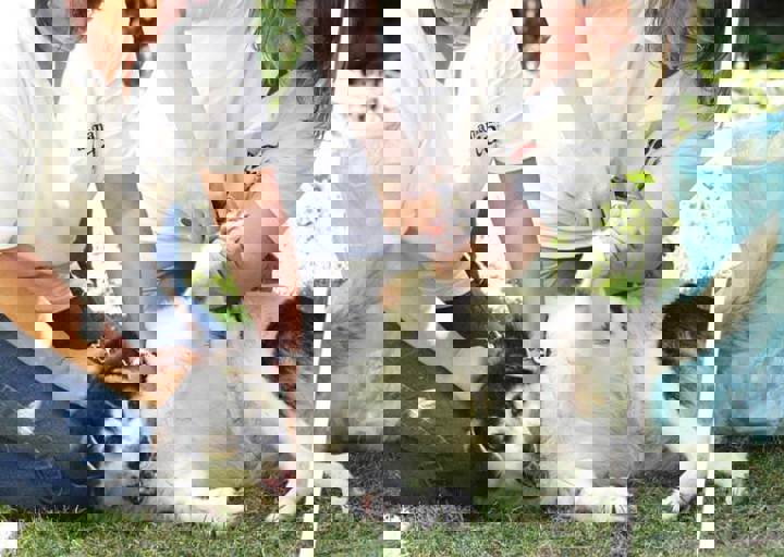 17_06110123.jpg