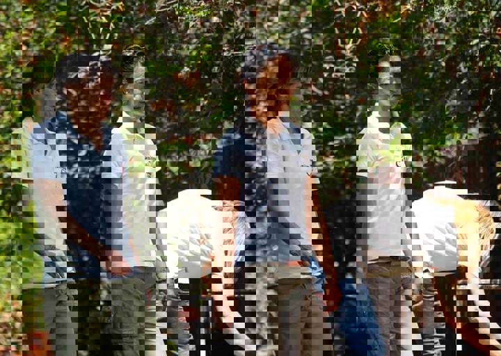 17_06110125.jpg
