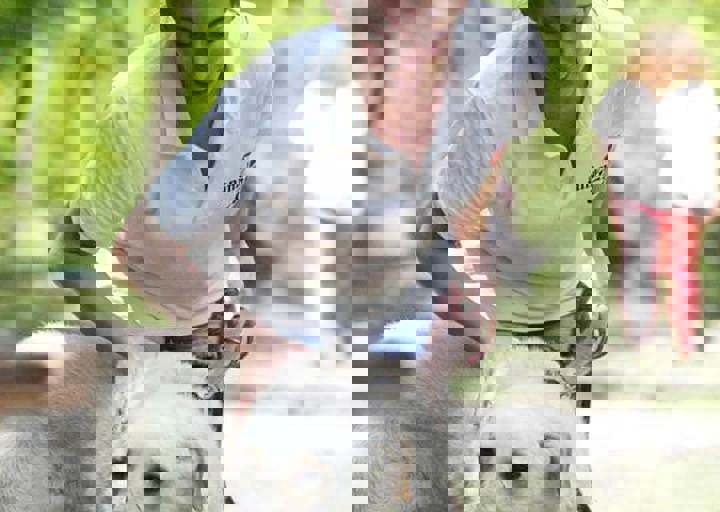 17_06110127.jpg