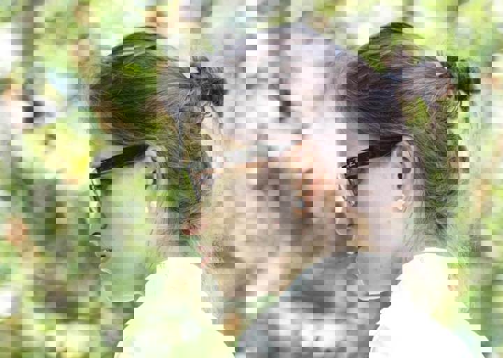 17_06110129.jpg
