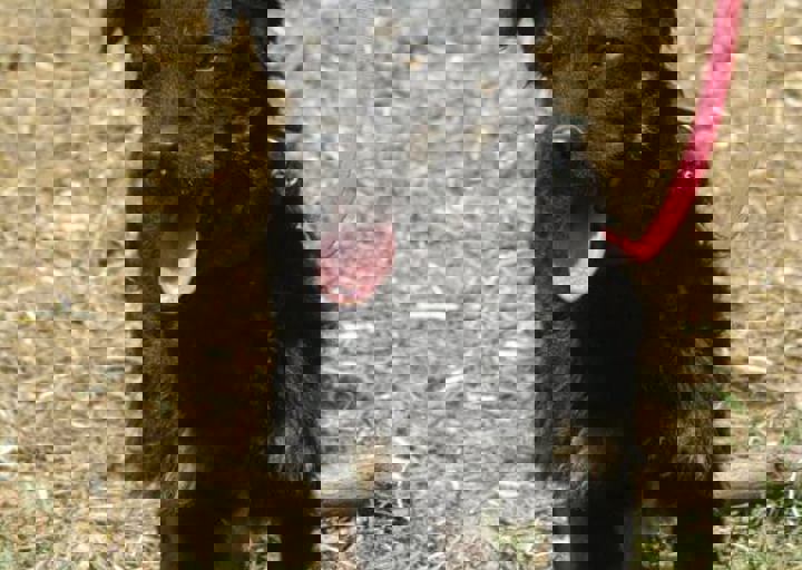 DSC_1833.JPG