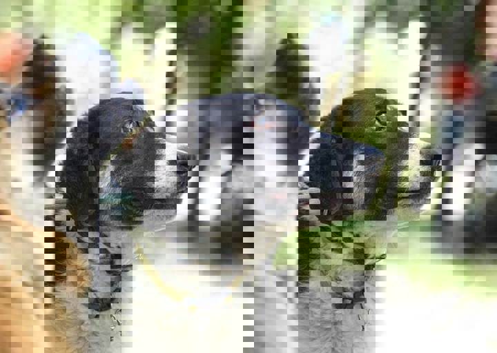 17_06110130.jpg
