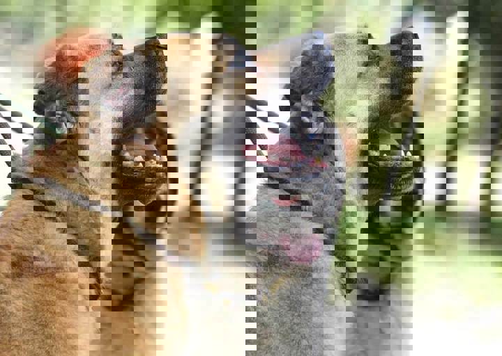 17_06110131.jpg