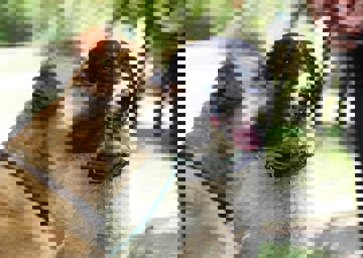 17_06110133.jpg