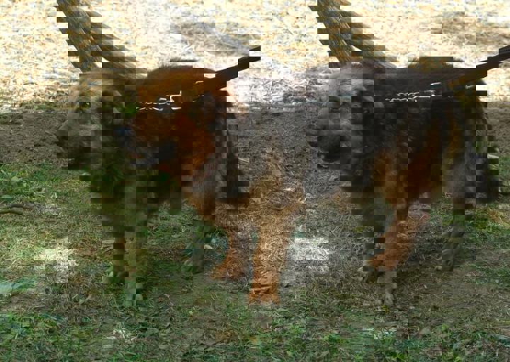 DSC_1837.JPG