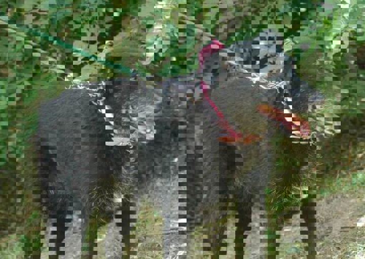 DSC_1849.JPG