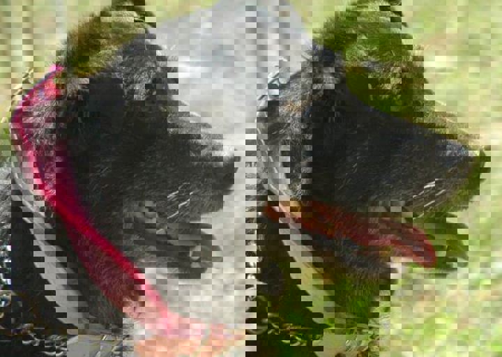 DSC_1850.JPG