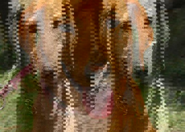 DSC_1856.JPG