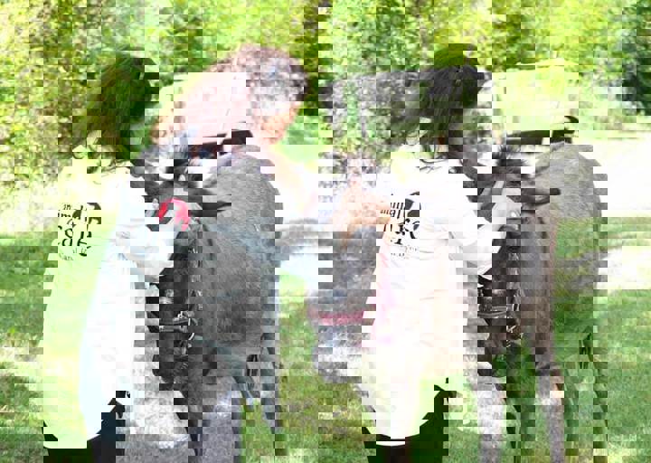 17_06110149.jpg
