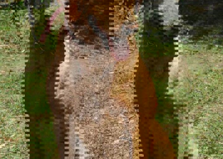 DSC_1858.JPG