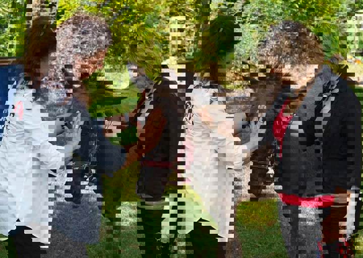17_06110151.jpg