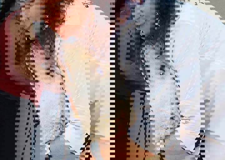 17_06110154.jpg