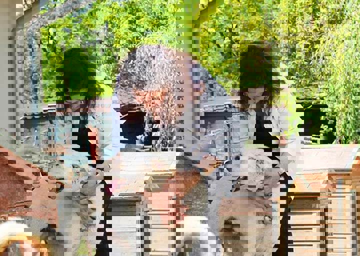 17_06110156.jpg