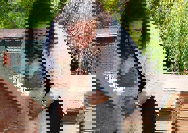 17_06110157.jpg