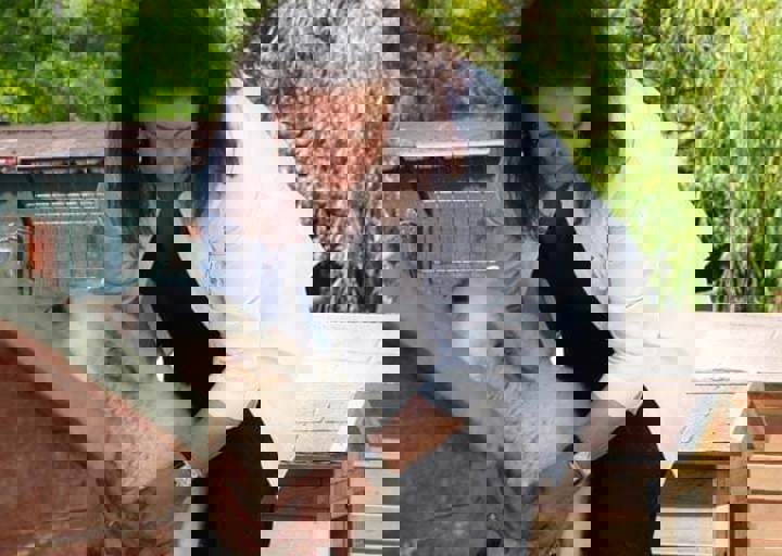 17_06110158.jpg