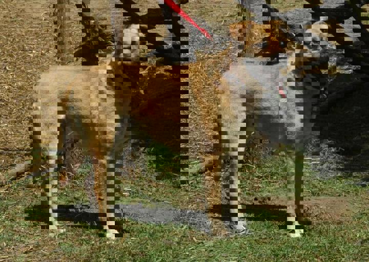 DSC_1868.JPG