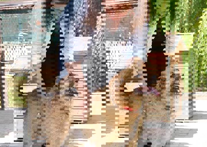 17_06110160.jpg