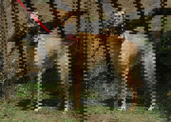 DSC_1869.JPG