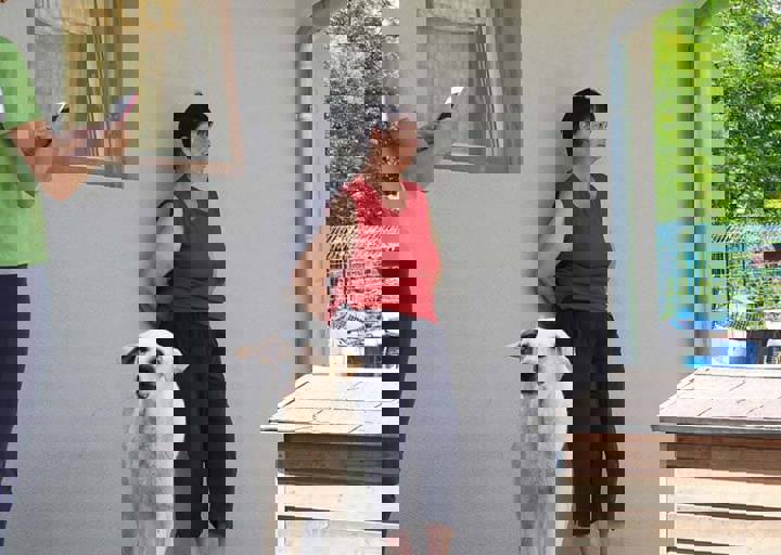 17_06110162.jpg