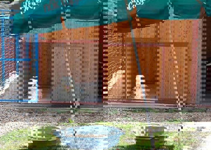 17_06110167.jpg