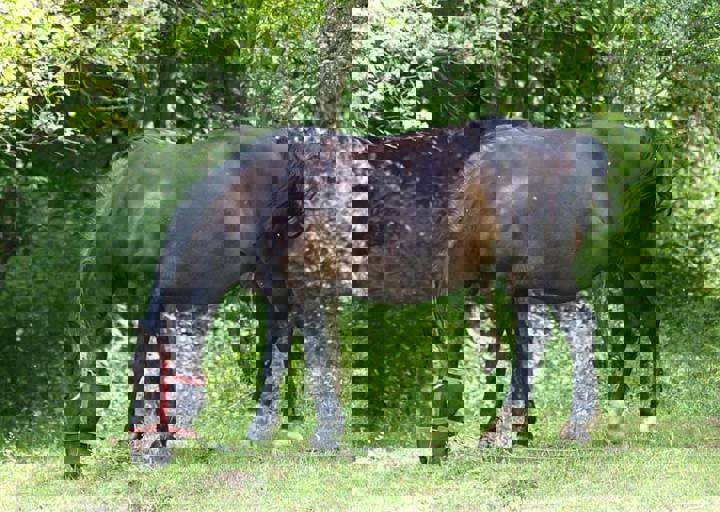 17_06110168.jpg