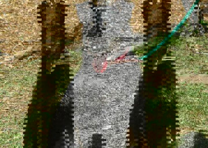 DSC_1879.JPG