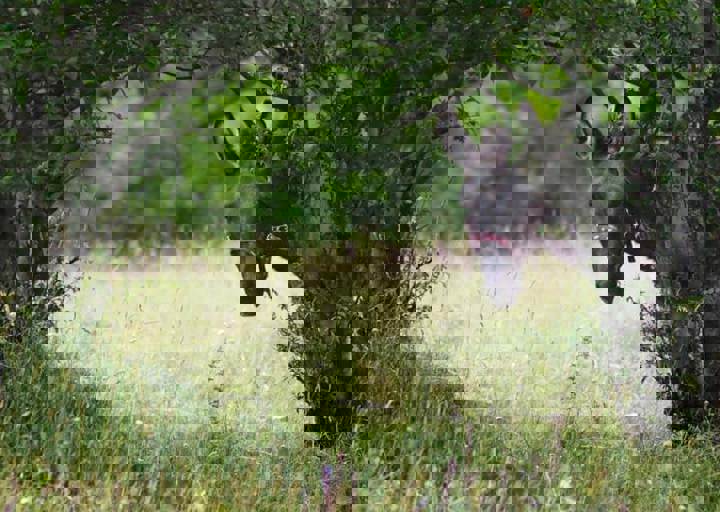 17_06110170.jpg