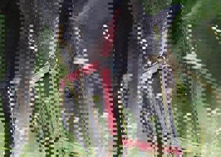 17_06110171.jpg
