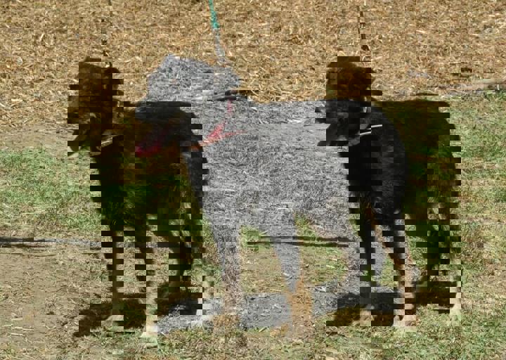 DSC_1884.JPG