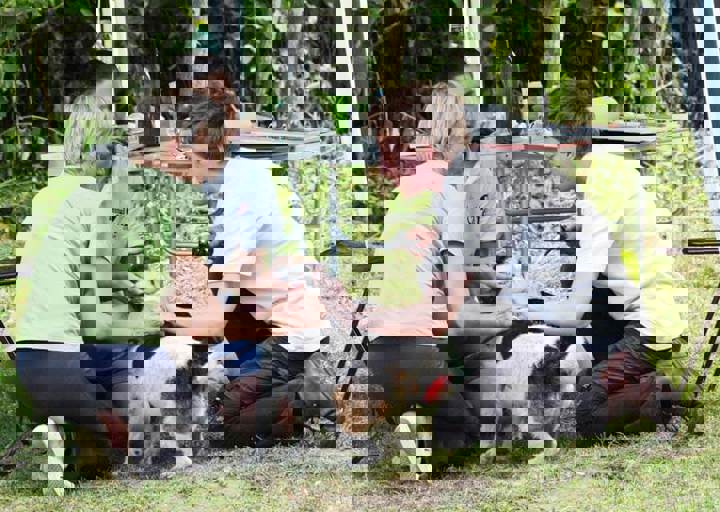 17_06110173.jpg