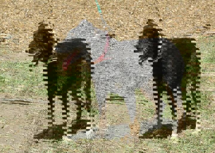 DSC_1885.JPG