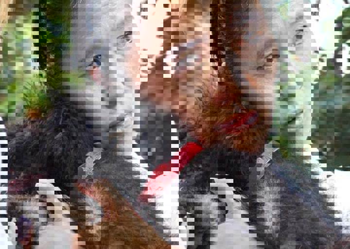 17_06110174.jpg