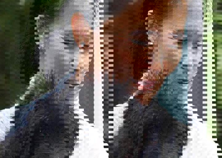 17_06110176.jpg