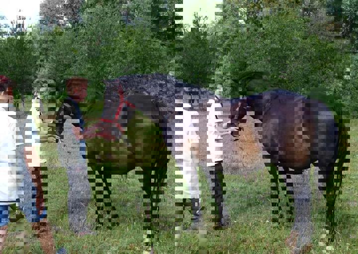 17_06110182.jpg