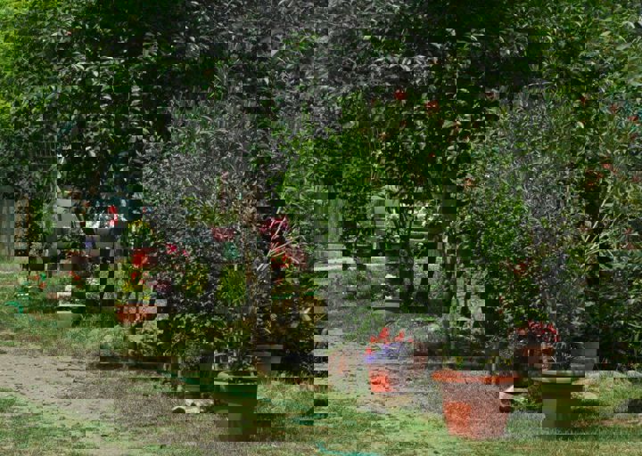 DSC_1896.JPG