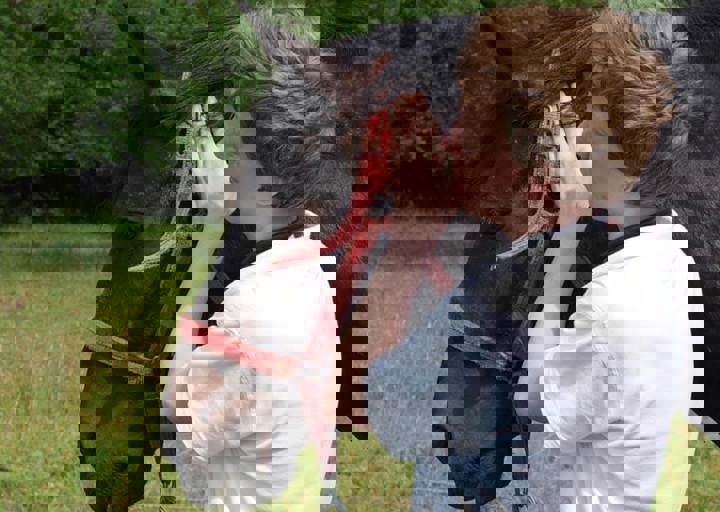 17_06110185.jpg