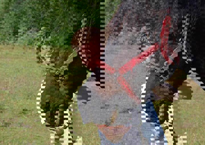 17_06110188.jpg