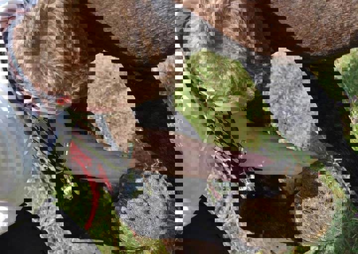 17_06110189.jpg