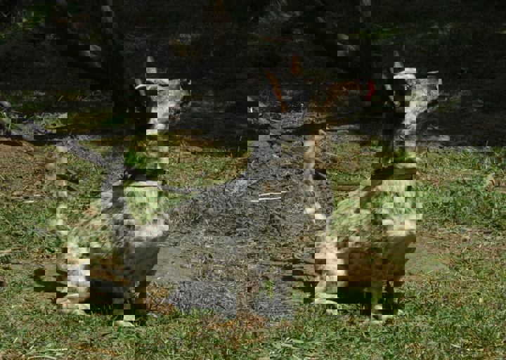 DSC_1901.JPG