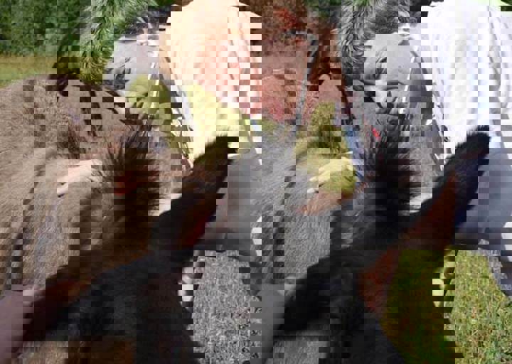 17_06110191.jpg