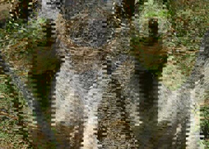 DSC_1904.JPG