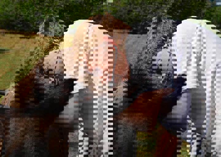 17_06110192.jpg