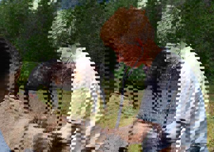 17_06110193.jpg