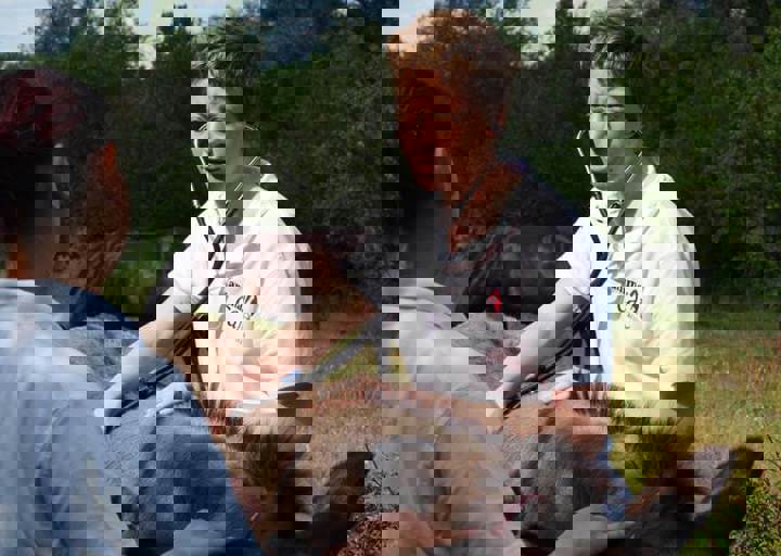 17_06110194.jpg
