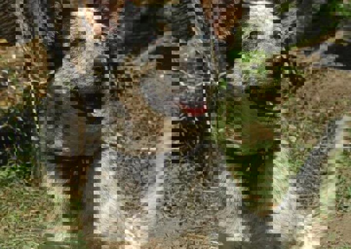 DSC_1907.JPG
